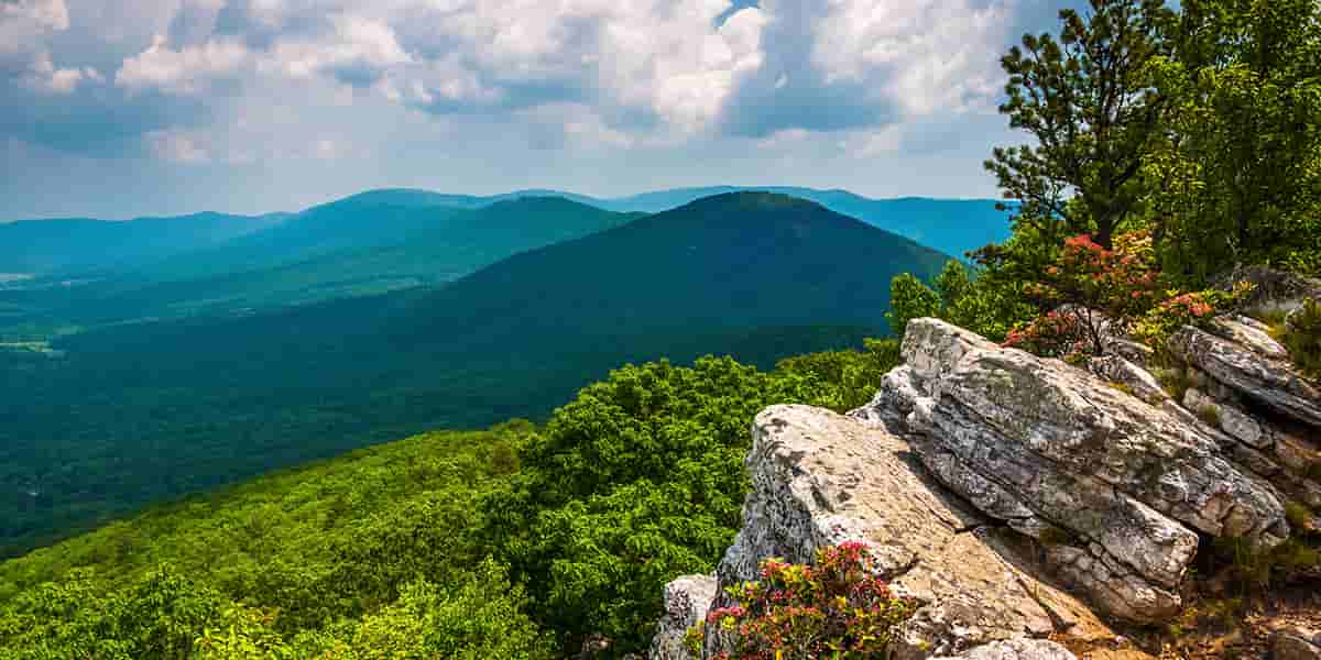 Trout Run Valley WV